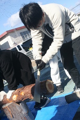 森林02075