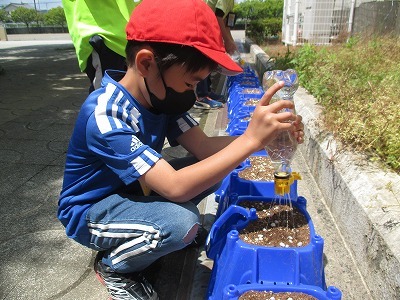 s-IMG_7886.jpg