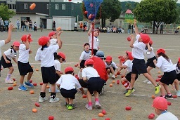 s-IMG_0215.jpg