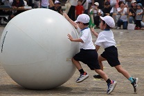s-IMG_0312.jpg