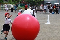 s-IMG_0338.jpg