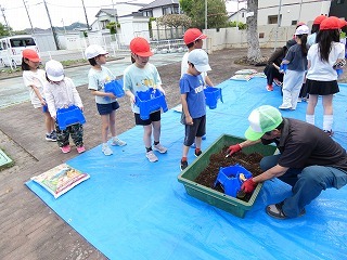 2年種植え.jpg