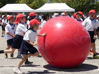 2年ぽかぽかこーろころ2.jpg