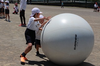 2年ぽかぽかパワフルこーろころ.jpg