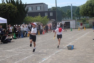 IMG_3382.jpg
