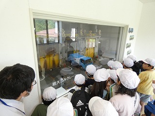 P1050991.jpg