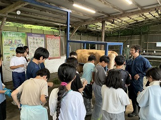 IMG_0785.jpg