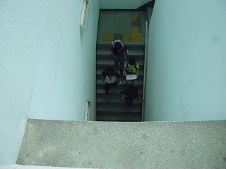 P1090935.jpg
