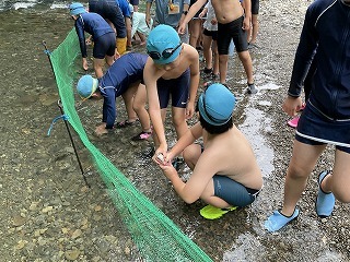 IMG_1259.jpg