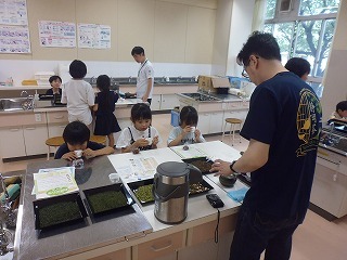 P1090897.jpg