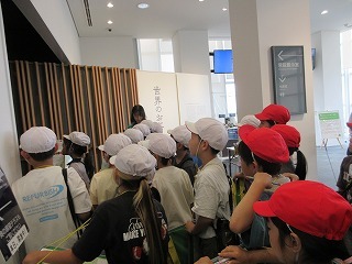 IMG_4323.jpg