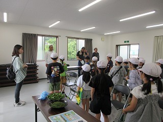 IMG_4464.jpg