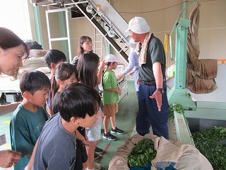 IMG_4472.jpg